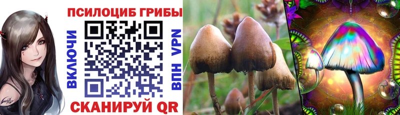 цена наркотик площадка телеграм Псилоцибиновые грибы мицелий Шарыпово